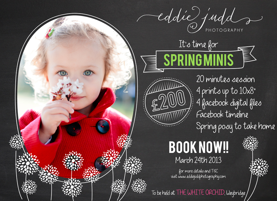 spring minis 2013 blog sized
