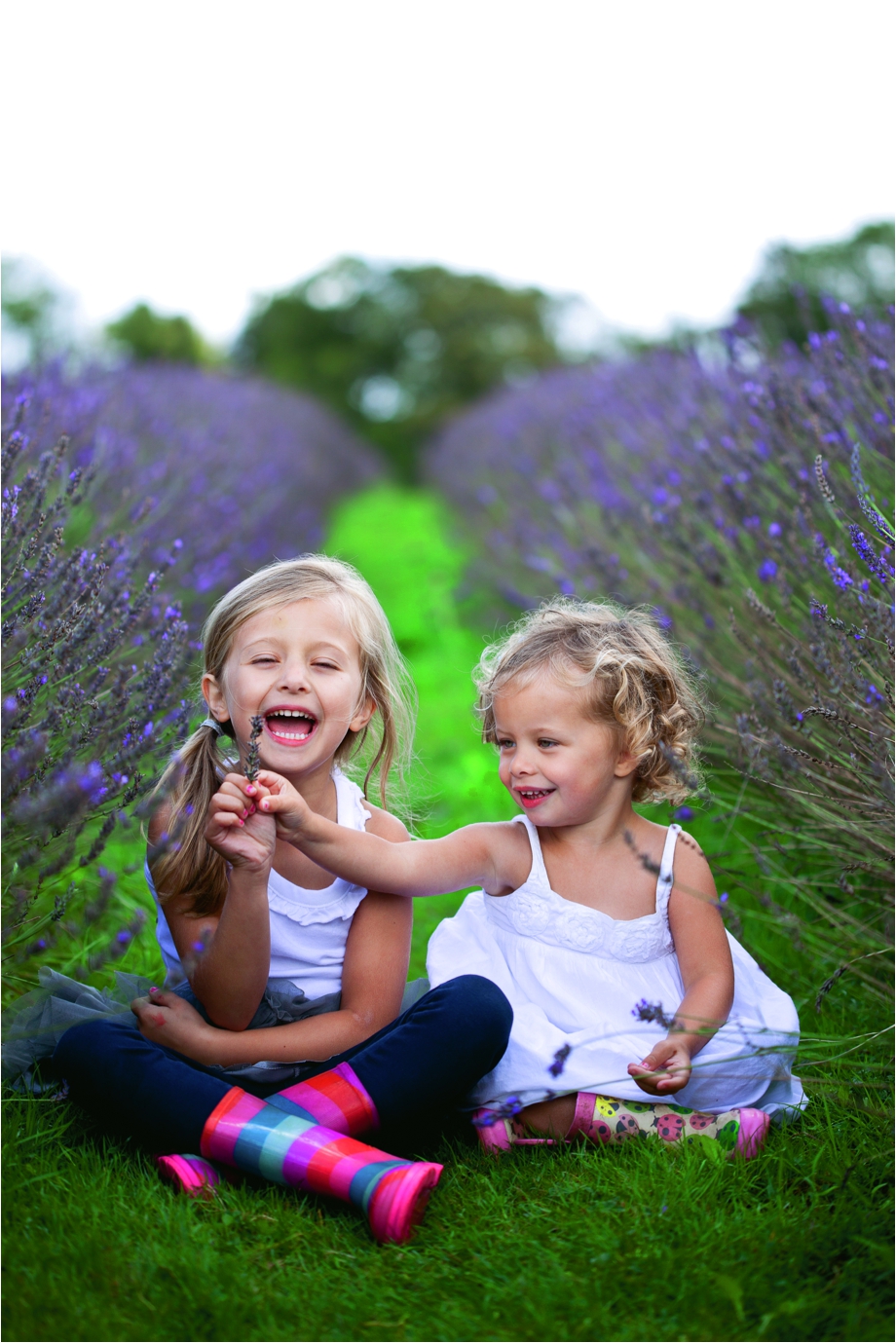 eddie-Judd-photography-family-photographer-surrey-lavender-fields_0060