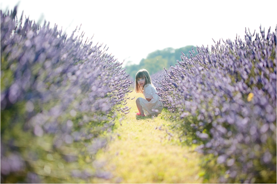 eddie-Judd-photography-family-photographer-surrey-lavender-fields_0065