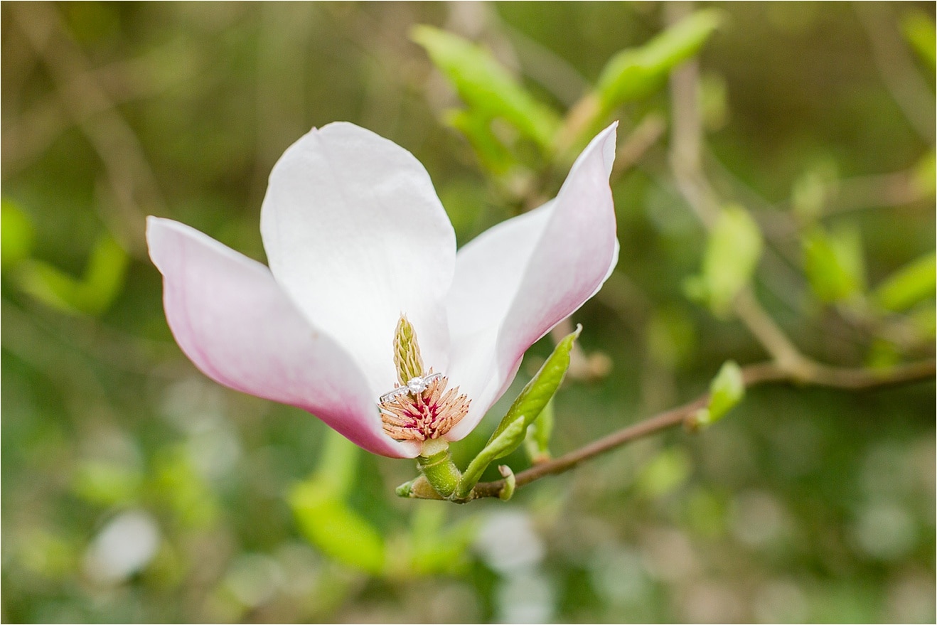 054_PLEASECREDITwherepossible-eddie-judd-photography--AmandaLiamENGAGEMENT-WEBfiles