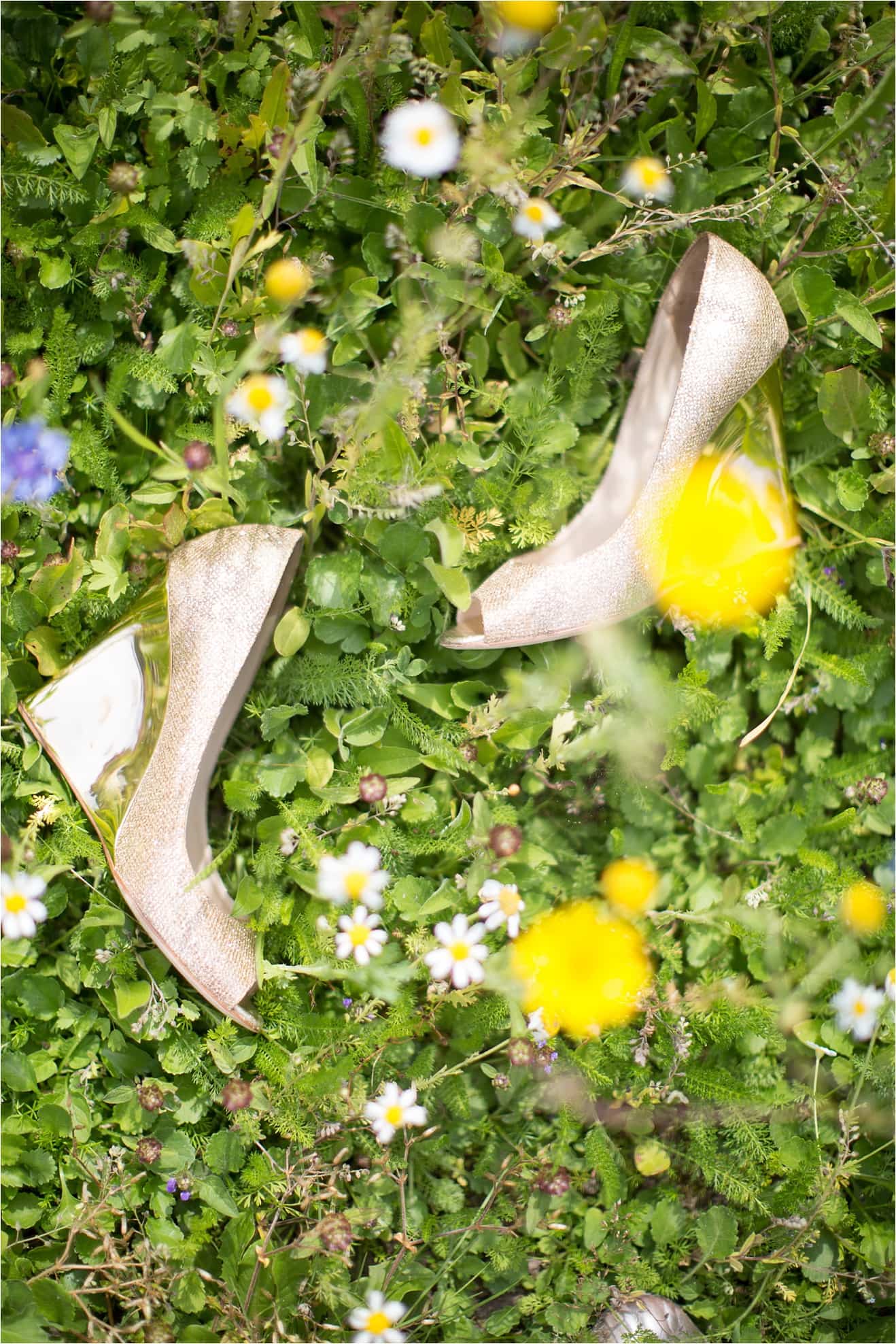 wedding-photography-eddie-judd-photography-marquee-summer_0003
