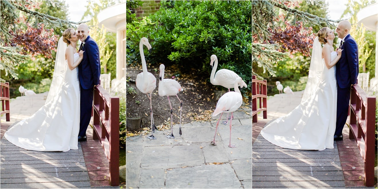 072_wedding-photography-london-surrey-eddie-judd-photographer-engagement-southbank_6718